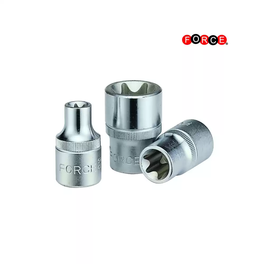 Steckschlüssel Torx E14 Nuss in 1/2" | Torx/E-Profil ...